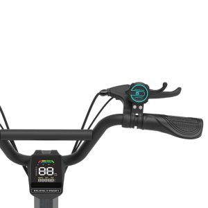 dualtron-togo-las-palmas-tenerife-canarias-patineteros-4