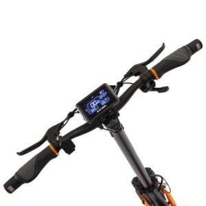 zcougar-duo-las-palmas-tenerife-canarias-patineteros-2