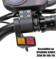 botón-dualmotor-las-palmas-tenerirfe-canarias-patineteros-1.jpg