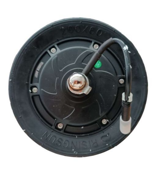 motor-skateflash-echo-36v-350-w-las-palmas-gran-canaria-santa-cruz-tenerife-fuerteventura-lanzarote-graciosa-la-palma-gomera-el-hierro-canarias-patineteros