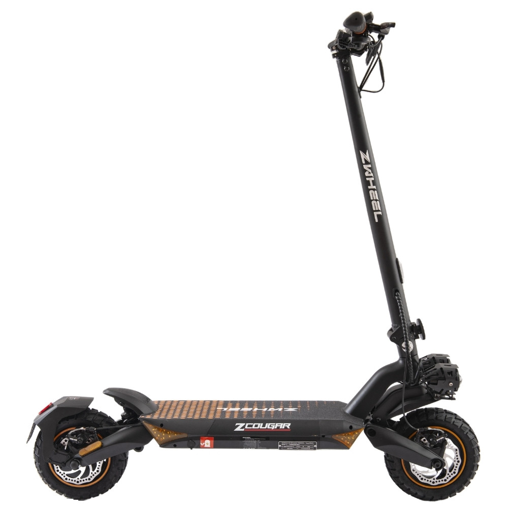 zcougar--las-palmas-tenerife-canarias-patineteros-1