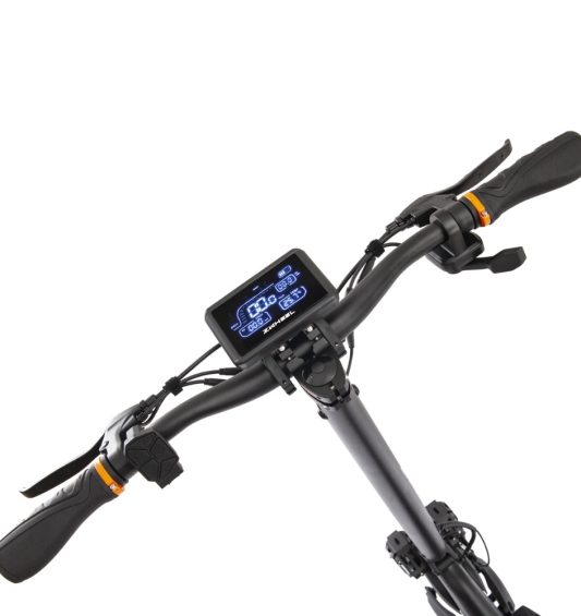 zcougar--las-palmas-tenerife-canarias-patineteros-2