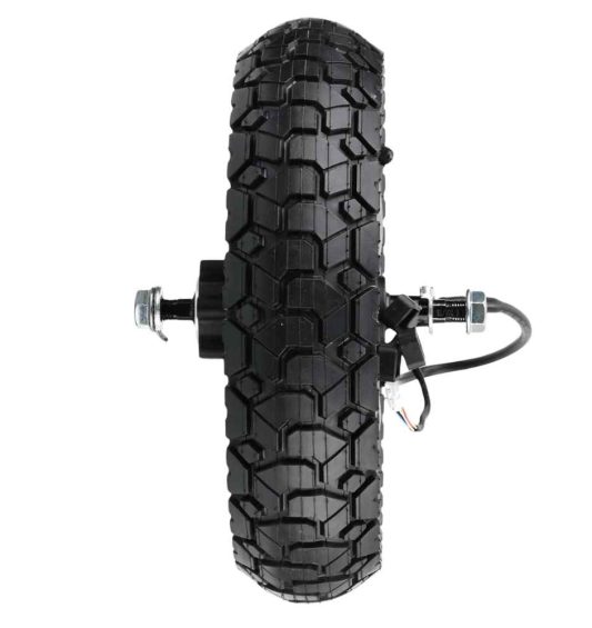 motor-de-650w-para-segway-ninebot-zt3-pro-las-palmastenerife-canarias-patineteros-2